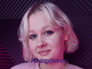 Petulagallamore