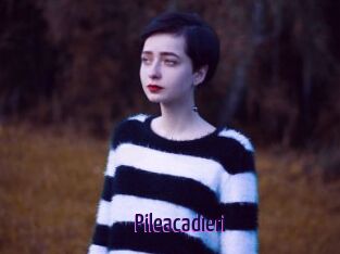 Pileacadieri