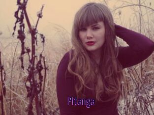 Pitanga