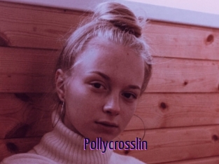 Pollycrosslin
