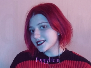 Poppyblom