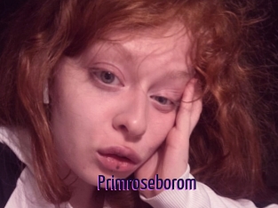 Primroseborom