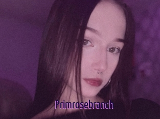 Primrosebranch
