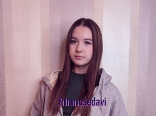 Primrosedavi