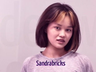 Sandrabricks