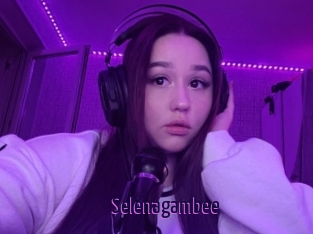 Selenagambee