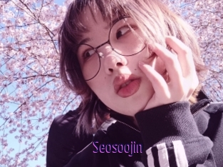 Seosoojin