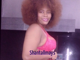 Shantallmays