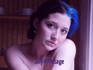 Sillylittlesage