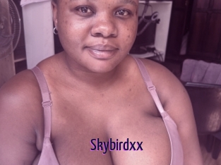 Skybirdxx