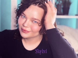 Skybri