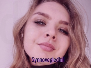 Synnovegledhill