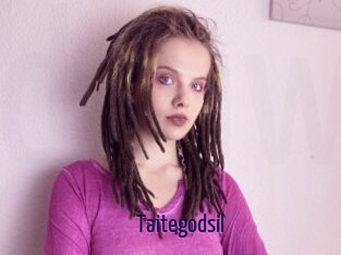 Taitegodsil