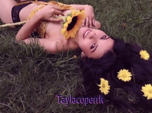 Taylacoperrk