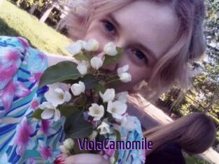 ViolaCamomile