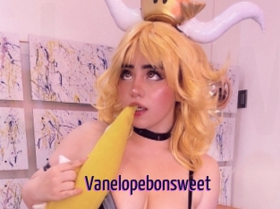 Vanelopebonsweet