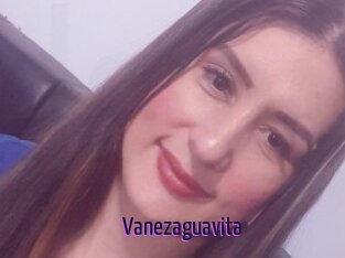 Vanezaguavita