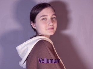 Vellumurr