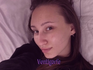Ventigarfe