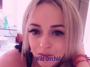 Wild_Orrchid