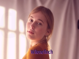 Wilonefinch