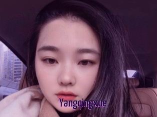 Yangqingxue