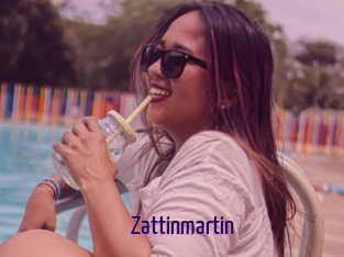 Zattinmartin