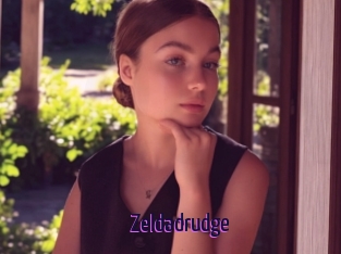 Zeldadrudge