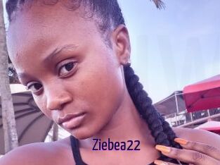 Ziebea22