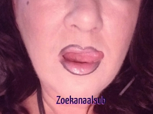 Zoekanaalsub